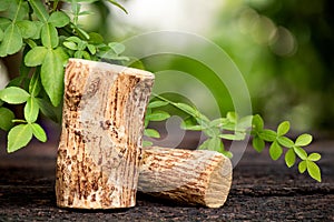 Thanaka ,timbers and green leaves on nature background