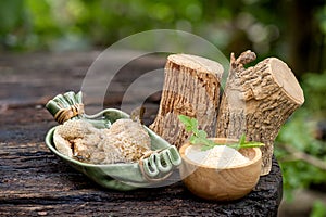 Thanaka ,timbers ,green leaves, powder and honey on nature background