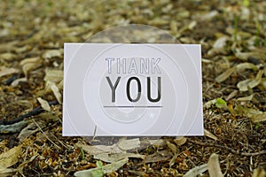 Thank You Card on Autumn Leaves Background
