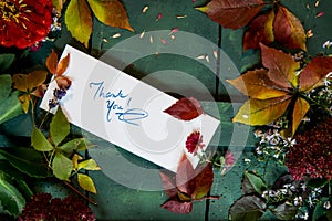 Thank you card on autumn and thanksgiving background writing gratitude notes