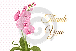 Thank you card pink orchid phalaenopsis flower