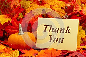 Thank You greeting card with fall leaves