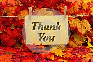 Thank you greeting card with fall leaves