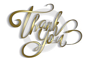 Thank You gold word Greeting Card