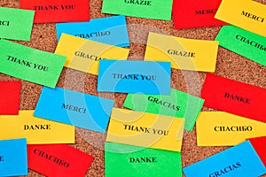 Thank you in many languages on colorful pieces of paper