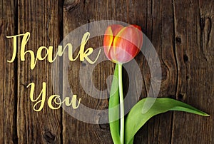 Thank You Message, Orange tulip on wooden background. Spring flower background with blooming tulip, mockup template, copy space.