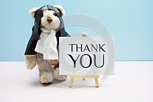 Thank You text message with cute teddy bear on blue and pink background