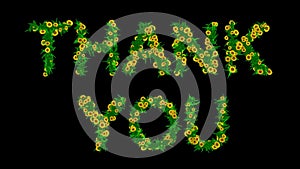 Thank you text with yellow daisy flowers and green leaves on plain black background