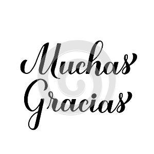 Thank you very much calligraphy hand lettering in Spanish language isolated on white background. Vector template for