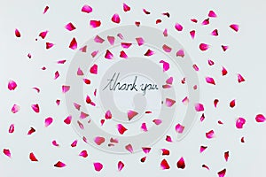 Thank you words on white background with pink rose petals.