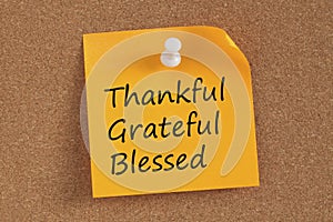 Thankful,Grateful and Blessed written on note