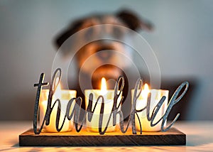 Thankful Gratitude Candles With Dog in Background