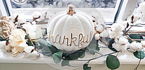 Thankful Gratitude Thanksgiving Autumn Pumpkin photo