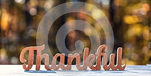 Thankful message Thanksgiving theme