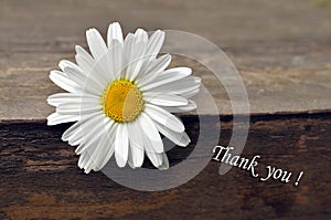 Thankfulness - thank you. photo