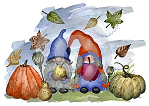 Thankgiving iilustration with gnomes, pumpkin, maple leaves, fruits, vegetables, flowers.
