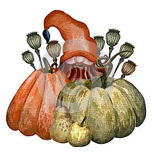 Thankgiving iilustration with gnomes, pumpkin, maple leaves, fruits, vegetables, flowers.