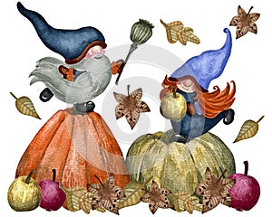 Thankgiving iilustration with gnomes, pumpkin, maple leaves, fruits, vegetables, flowers.