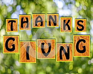 Thanks giving on blurr background photo