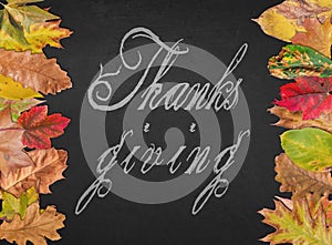Thanks giving day quote like postcard banner with autumn leaves