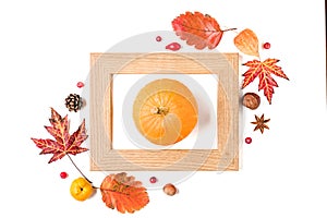 Thanksgiving or autumn background. Fall composition with fallen leaves, dry flowers, berries, nuts and pumpkin in frame