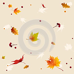 Thanksgiving autumn background with maple leaves red ripe berries good design for holiday wrap on light background