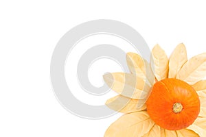 Thanksgiving autumn composition with fall leaves and pumpkin on white background. Flat lay