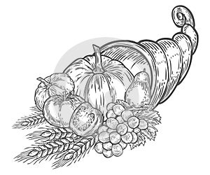 Thanksgiving autumn cornucopia festival emblem. Monochrome vintage engraving