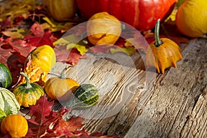 Thanksgiving Autumn Fall background with red, brown and yellow l