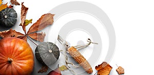 A Thanksgiving autumn harvest background of pumpkins, pears, leaves and corncobs on a rustic wooden table