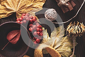 Thanksgiving Autumn red and orange leaf and berry on old wood background. Top view autumn backdrop