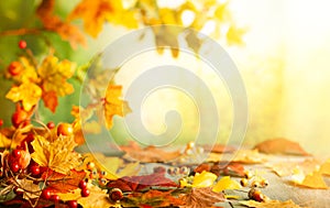 Thanksgiving or autumn scene with leaves and berries on wooden table.