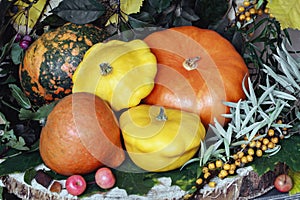 Thanksgiving, autumn still life, harvest and symbol of holidays, as well as healthy organic food - various kinds of