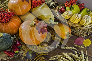 Thanksgiving autumn still life of vegetables on a dark wooden background and on burlap