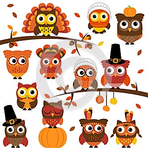 Thanksgiving and Autumn Themed Vector Owl Collection