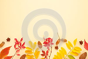 Thanksgiving or autumnal holiday background, top view, copy space. Autumnal holiday composition with leaves, star anise, cone on