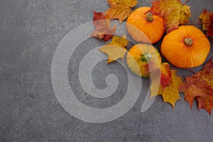 Thanksgiving or Autumnal holiday background, top view, copy space. holiday composition with pumpkins, autumn leaves.