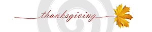 Thanksgiving autumnn leaf leaves text word isolated for background photo