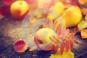 Thanksgiving background. Autumn colorful leaves, apples and pears