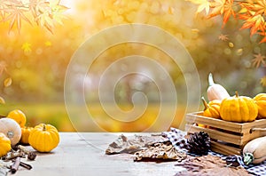 Thanksgiving background in autumn and fall