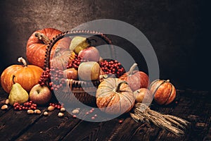 Thanksgiving background. Autumn harvest