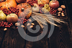 Thanksgiving background. Autumn harvest