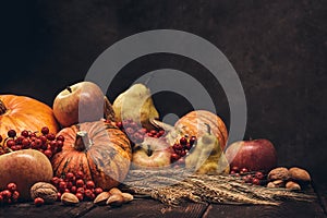 Thanksgiving background. Autumn harvest