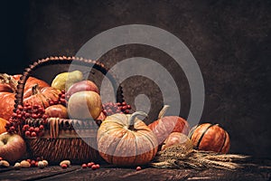 Thanksgiving background. Autumn harvest
