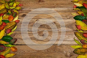 Thanksgiving background with frame of fall leaves, copy space