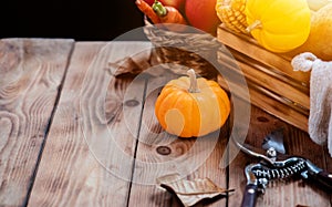 Thanksgiving background with fruit and vegetable