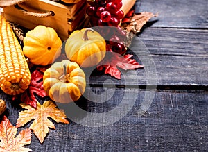 Thanksgiving background with fruit and vegetable