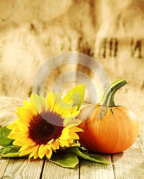 Thanksgiving background with large copyspace