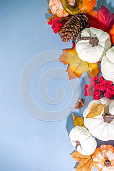 Thanksgiving background with pumpkins