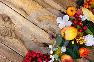 Thanksgiving background with pumpkins, applesand white flowers a